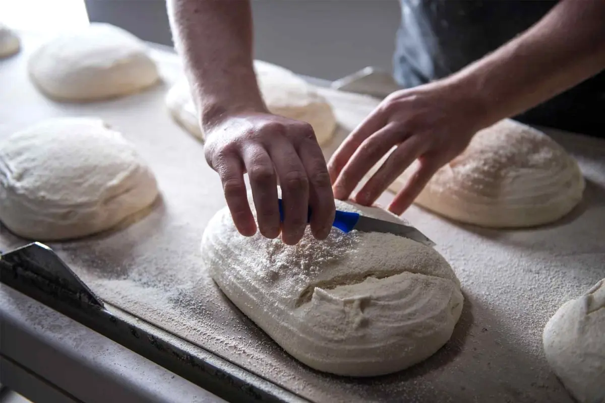 Best Indian vegetarian restaurant and bakery in Edmonton, AB